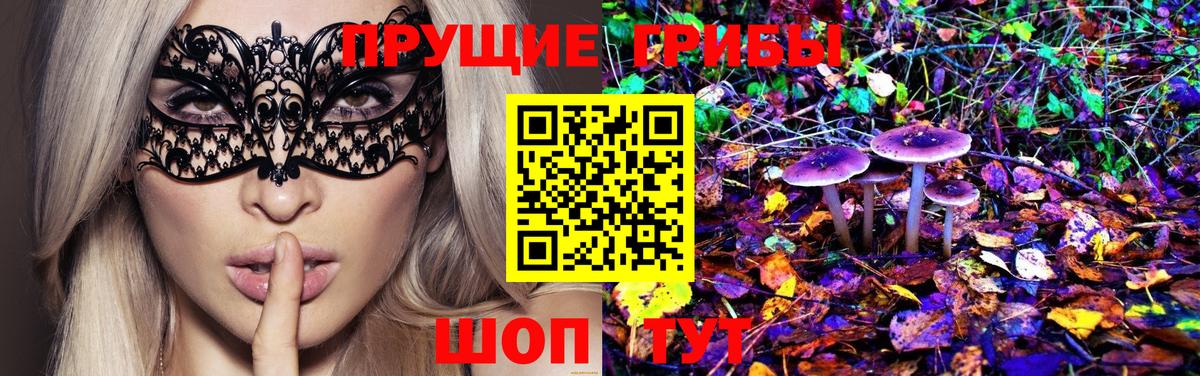 Галлюциногенные грибы Psilocybe Новочеркасск