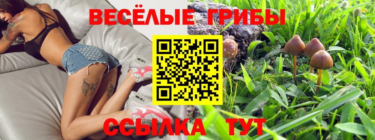 Псилоцибиновые грибы Cubensis  Псилоцибиновые грибы ЛСД  Вход с VPN  Новочеркасск 